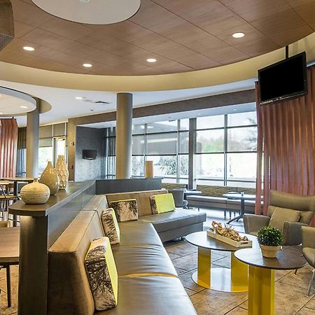 Springhill Suites Tampa North/Tampa Palms Екстер'єр фото
