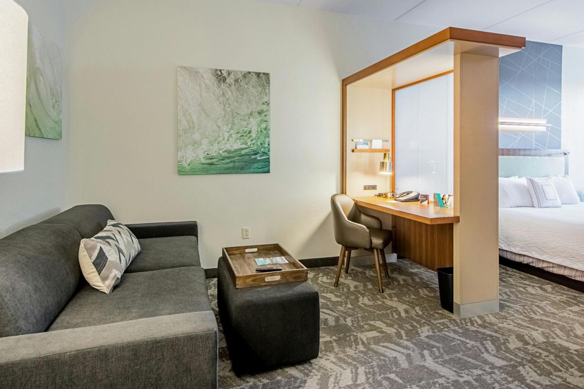 Springhill Suites Tampa North/Tampa Palms Екстер'єр фото