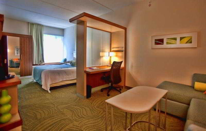 Springhill Suites Tampa North/Tampa Palms Екстер'єр фото