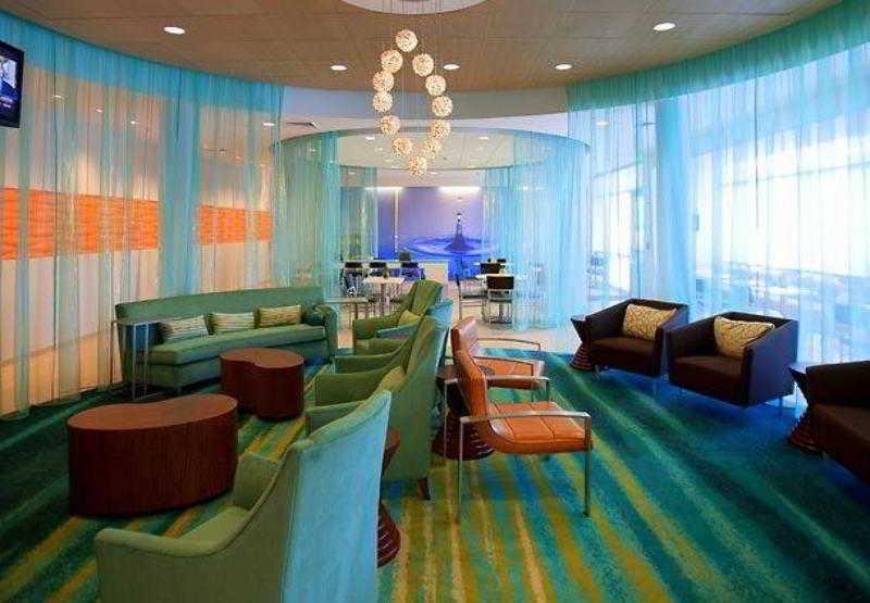 Springhill Suites Tampa North/Tampa Palms Інтер'єр фото