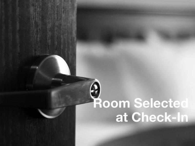 Springhill Suites Tampa North/Tampa Palms Екстер'єр фото