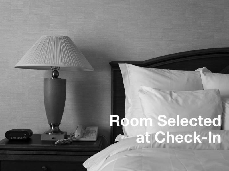 Springhill Suites Tampa North/Tampa Palms Екстер'єр фото